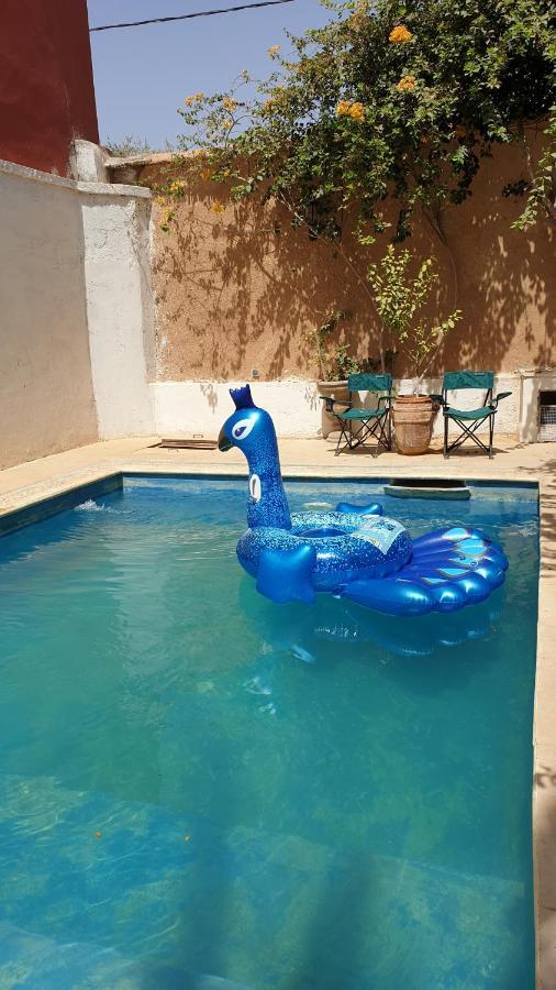 טרודאנט Riad Zidania מראה חיצוני תמונה